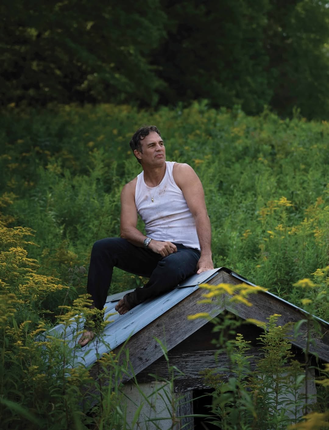 Mark Ruffalo
